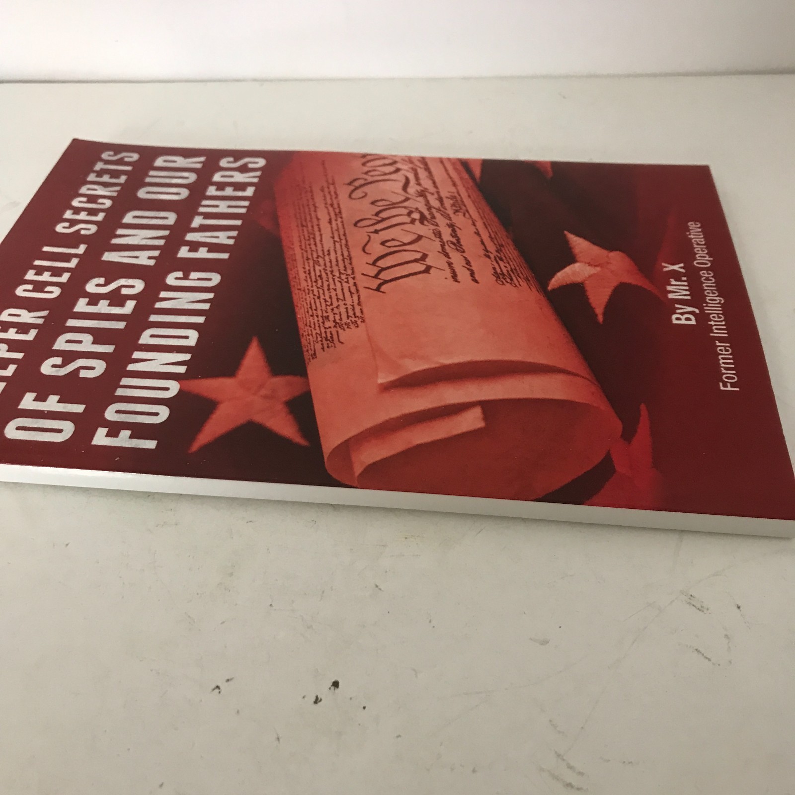 Sleeper Cell Secrets of Spies and Our Founding Fathers by Mr. X 110 Pages 2020