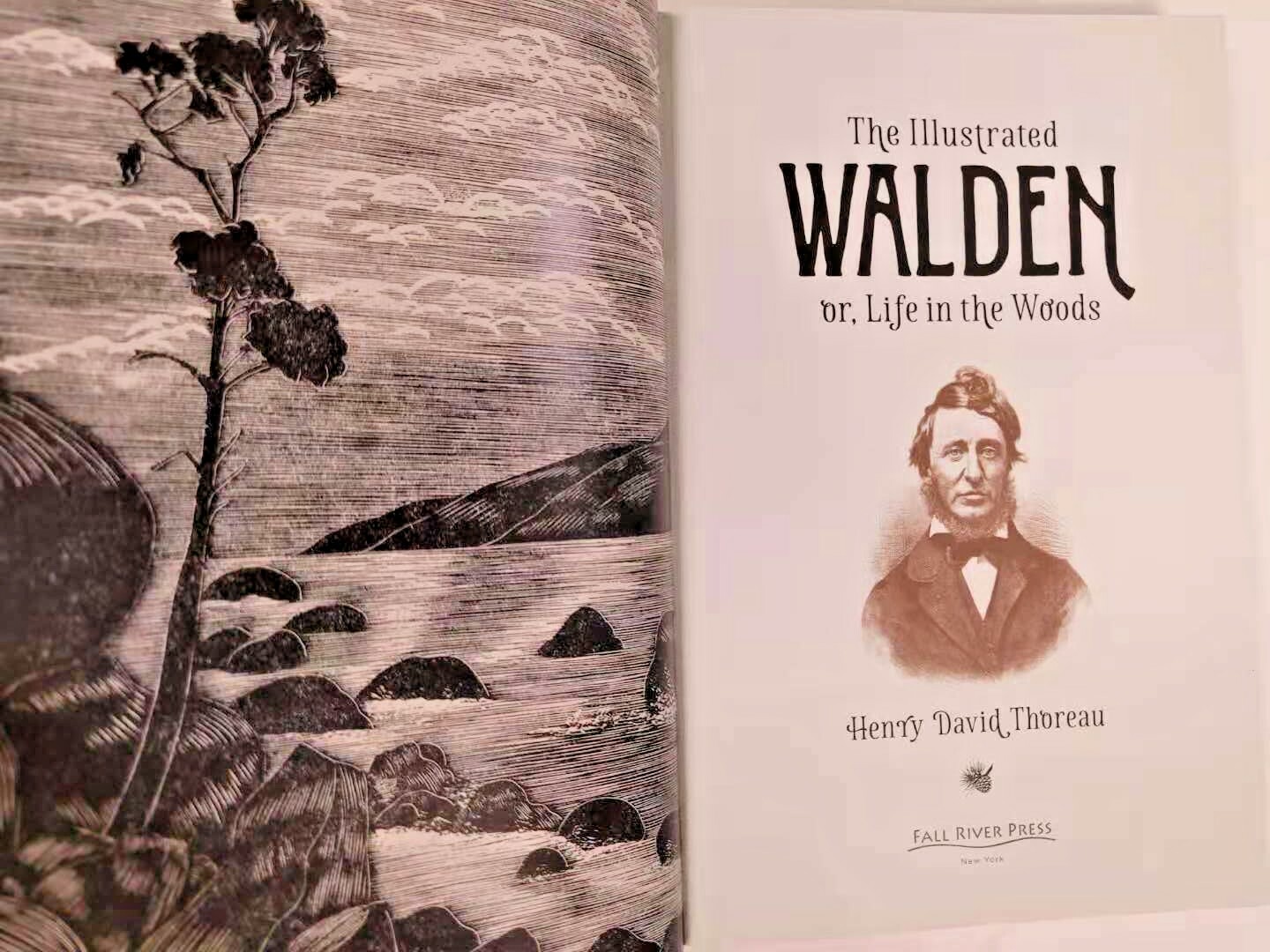 THE ILLUSTRATED WALDEN or Life in the Woods Henry David Thoreau Illustrated NEW