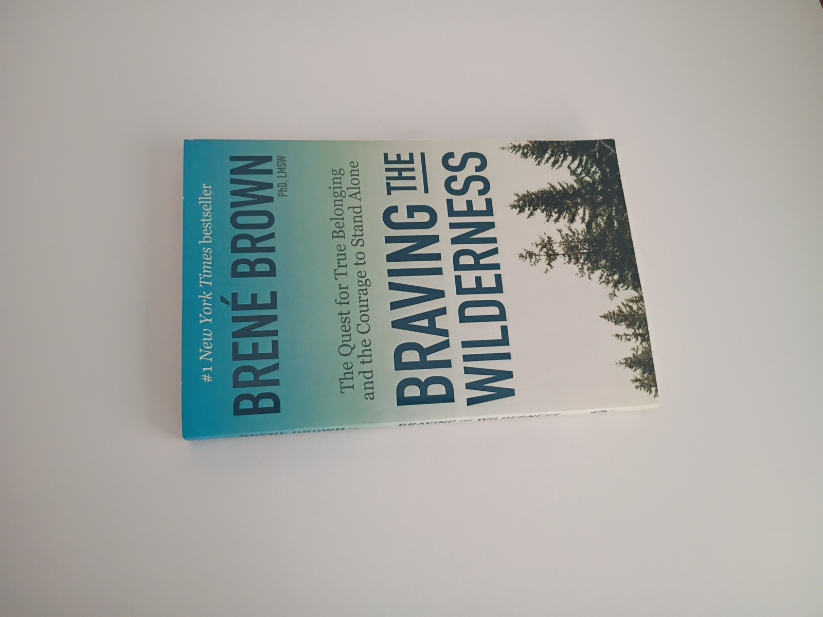 New Braving The Wilderness Brene Brown NY Times Bestseller Soft Cover