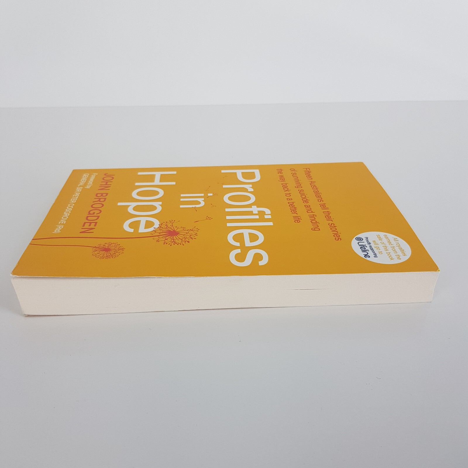 Profiles in Hope By John Brogden (Med PB 2024) Fifteen Stories Surviving Suicide