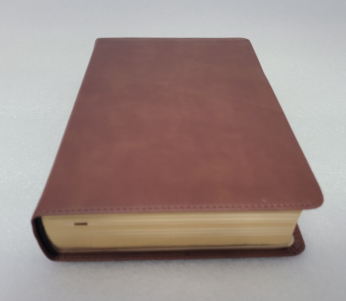 RVR / ESV *Bilingual* English/Spanish Bible La Santa Biblia / The Holy Bible