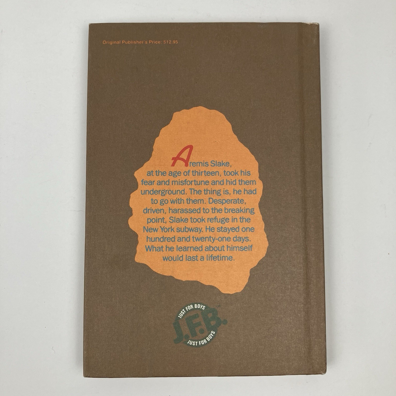 VTG “Slake’s Limbo” By Felice Holman / Hardcover / 1974 / First Edition