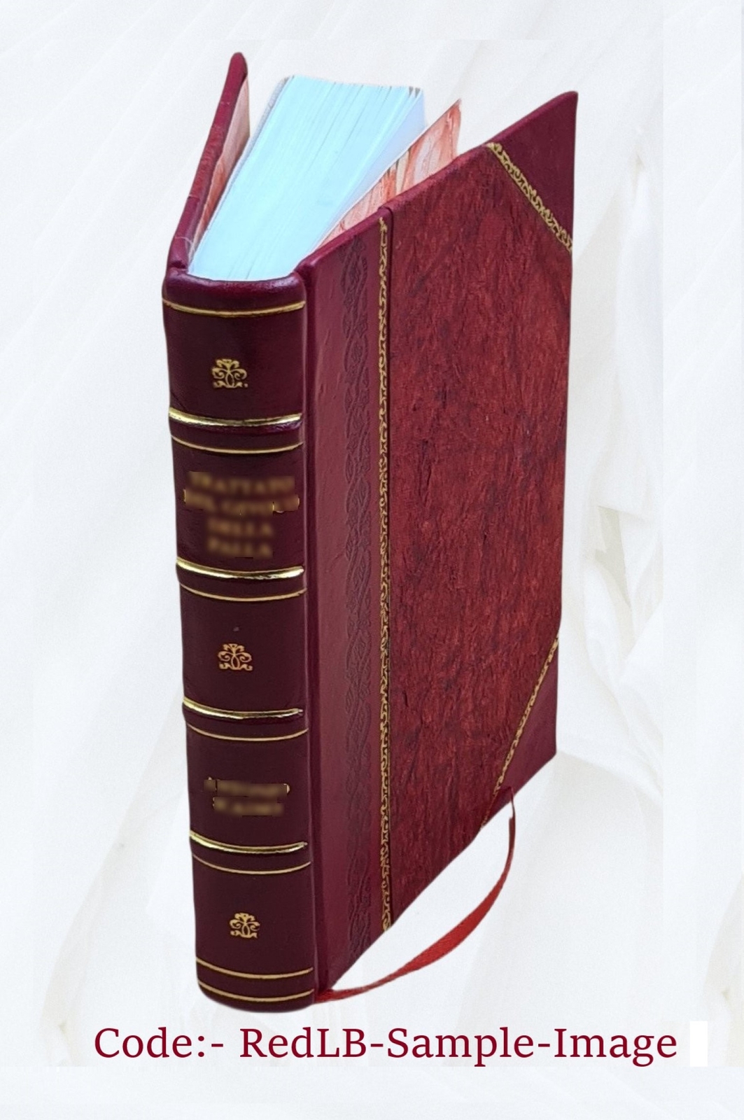 Buddhism Primitive And Present In Magadha And Ceylon 1908 [Leather Bound]