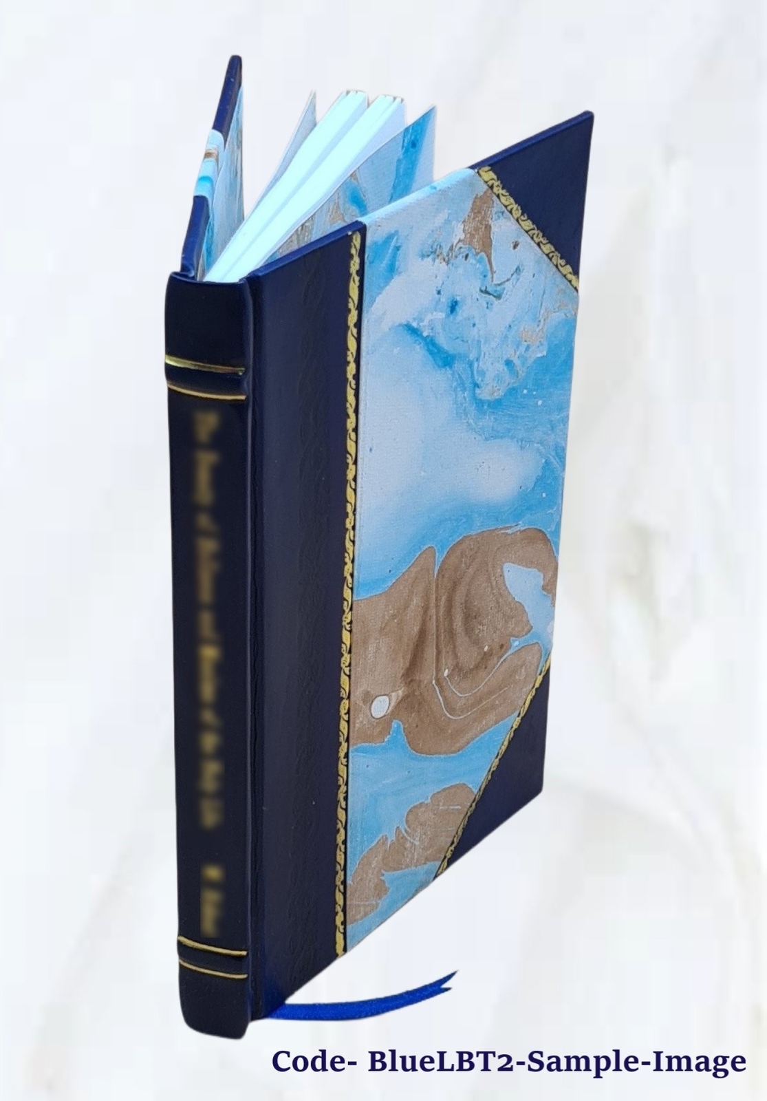 Bacterial Food Poisoning A Concise Exposition Of The Etiology, B [Leather Bound]