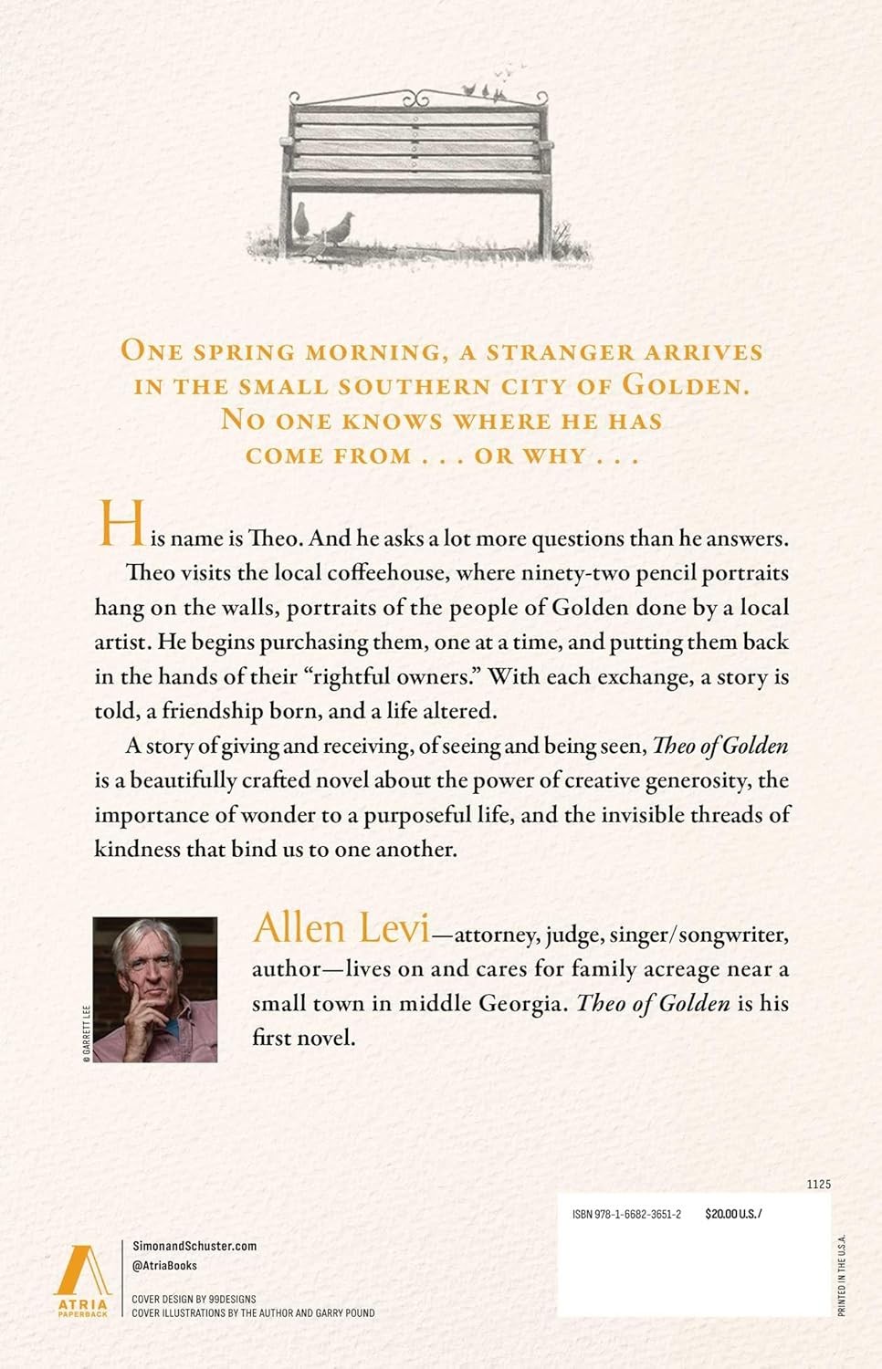 Theo of Golden: A Novel by Allen Levi