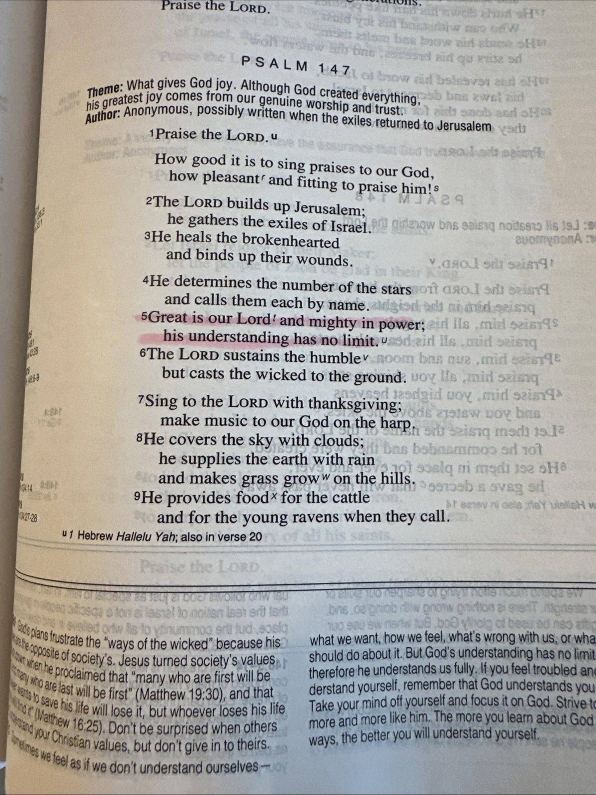 NIV Life Application Study Bible Burgundy Bonded Leather