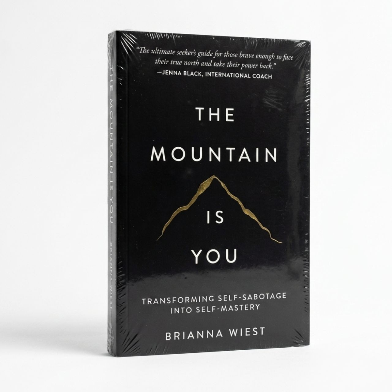 The Mountain Is You by Brianna Wiest Paperback Book New Free Shipping