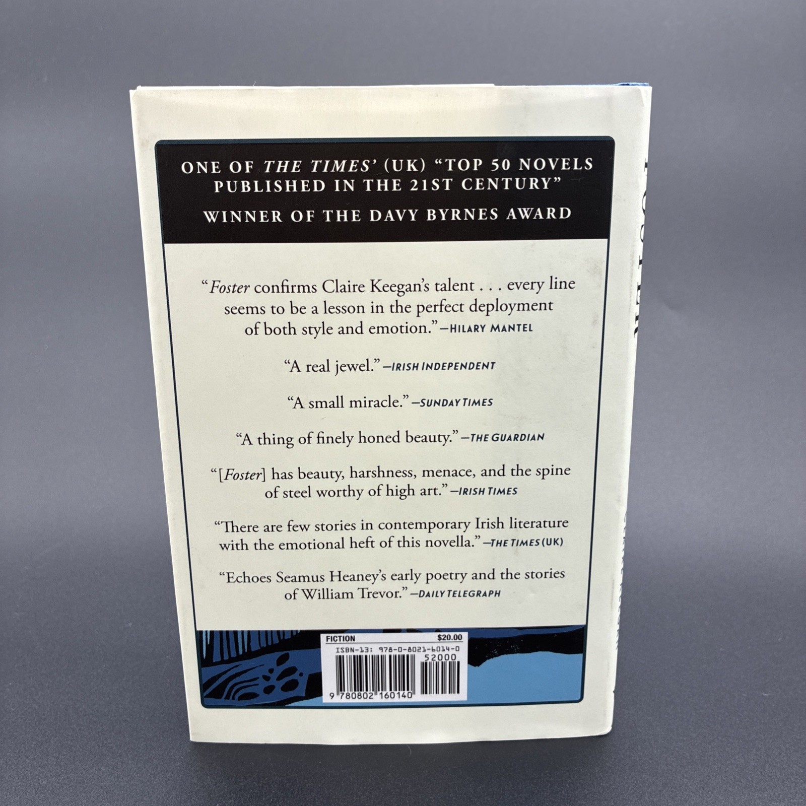 Foster by Claire Keegan Paperback Novel Fiction Book