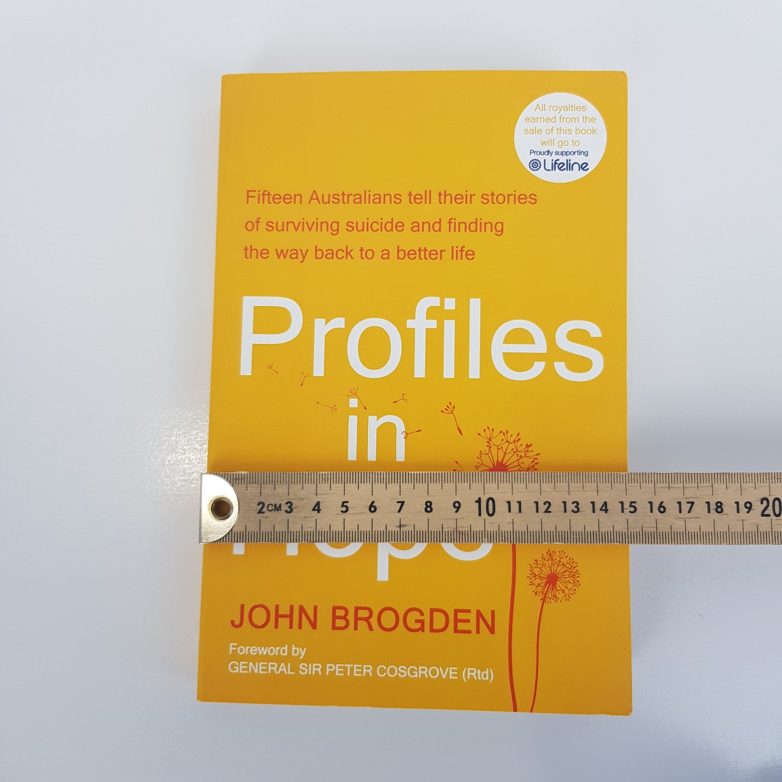 Profiles in Hope By John Brogden (Med PB 2024) Fifteen Stories Surviving Suicide