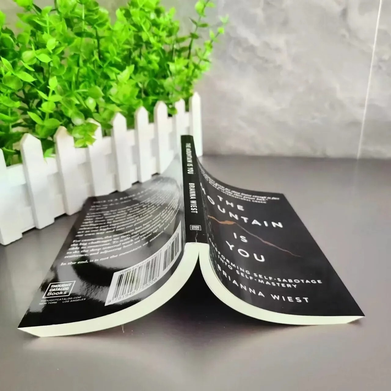 The Mountain is You By Brianna Wiest USA Stock Premium Quality Free Shipping
