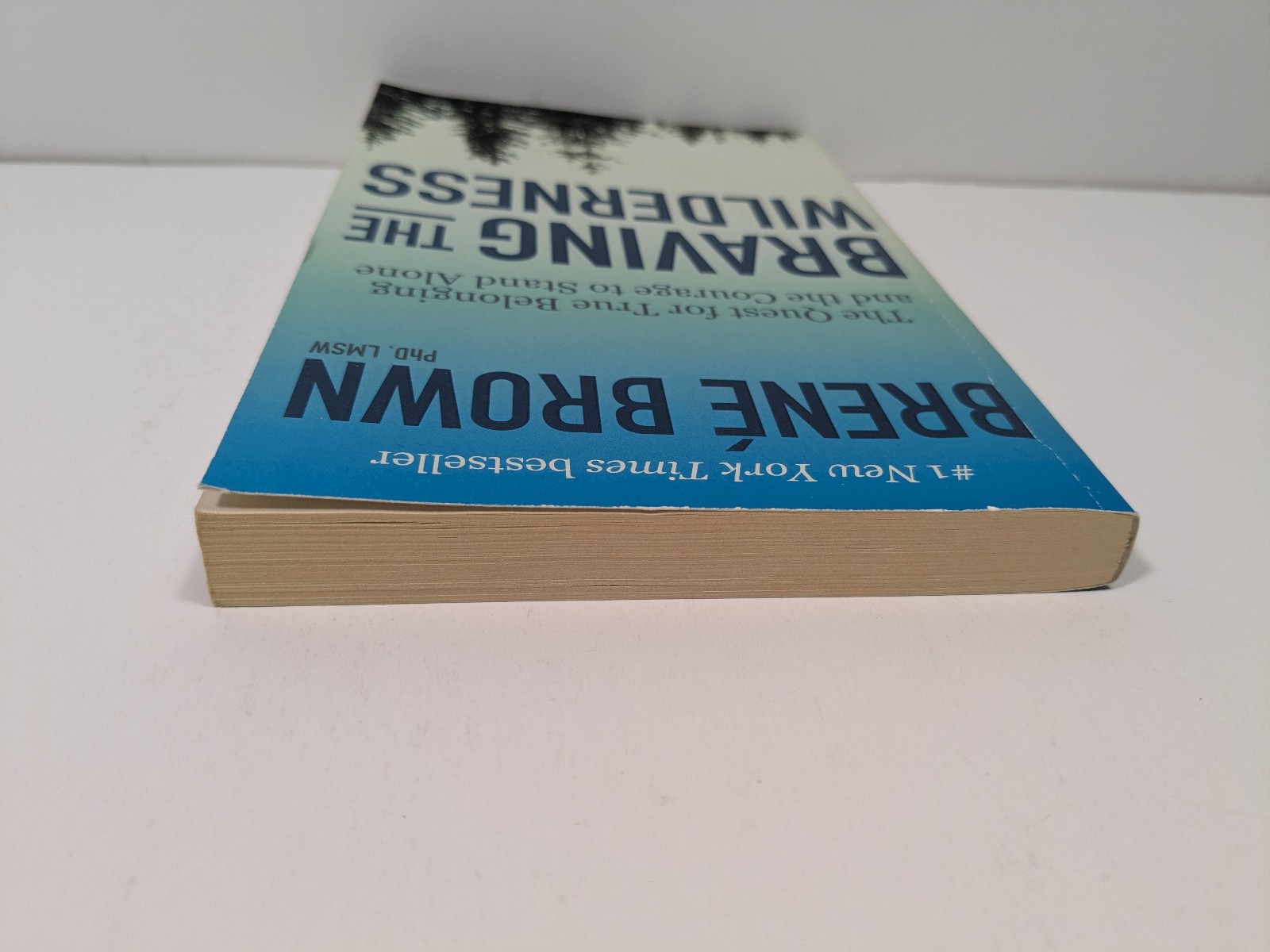Braving the Wilderness by Brene Brown Paperback Book Psychology Self Help Memoir