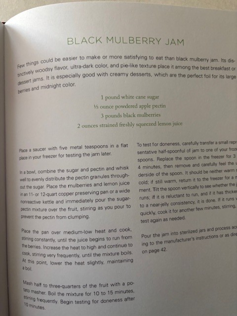 Blue Chair Jam Cookbook Illustrated Hardcover by Rachel Saunders 372 pages