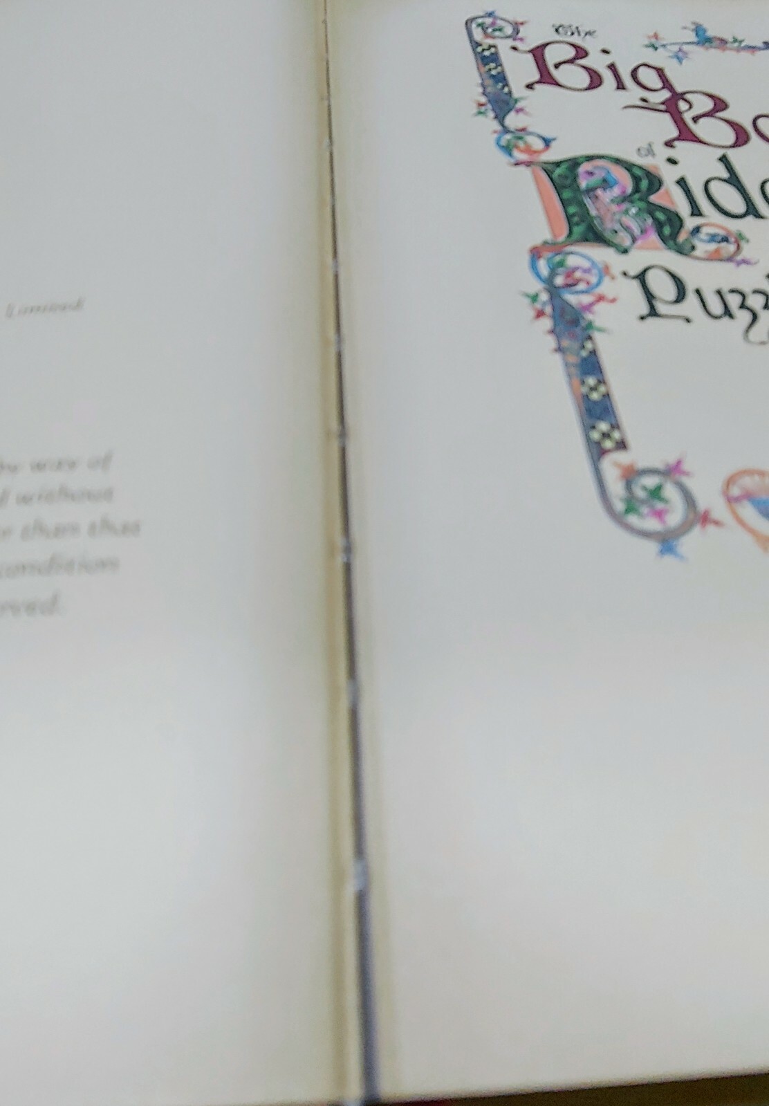 “The Big Book of Riddles, Puzzles and Enigmas” + Host of Conundrums 416 Pages