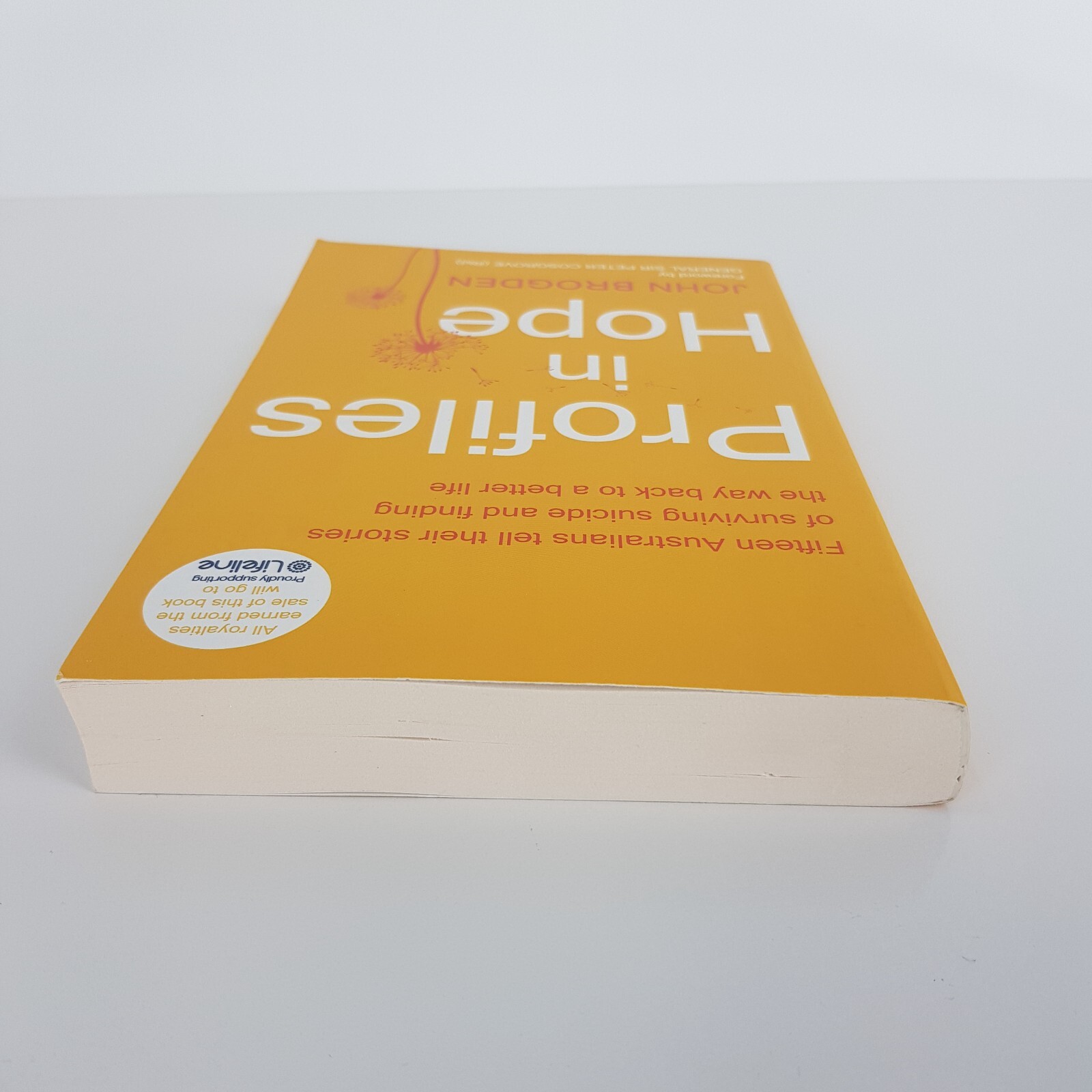 Profiles in Hope By John Brogden (Med PB 2024) Fifteen Stories Surviving Suicide