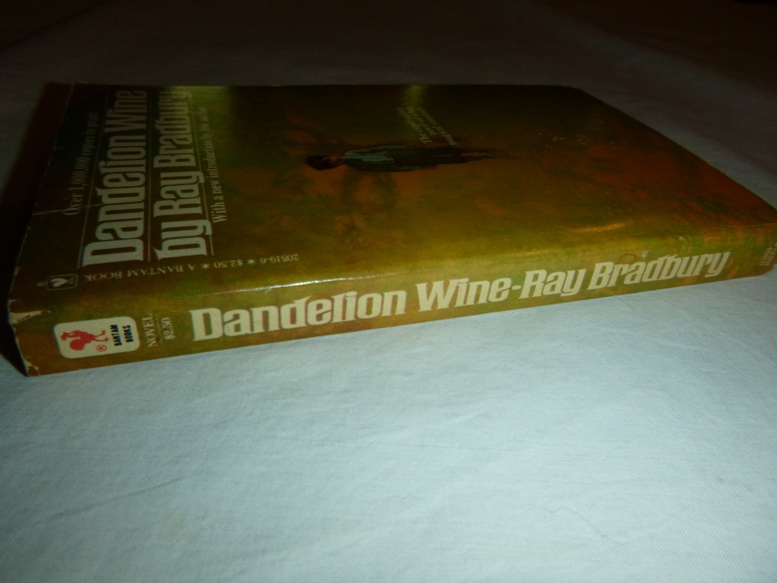 Dandelion Wine by Ray Bradbury – Vintage 1981 Paperback Book