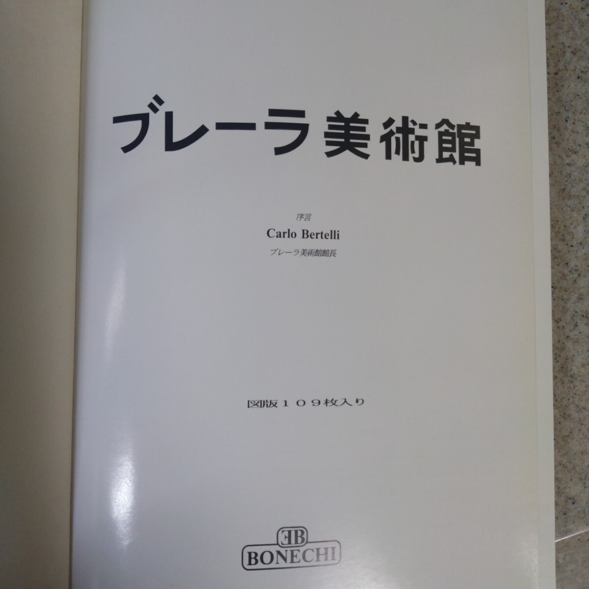 Brera Art Gallery books