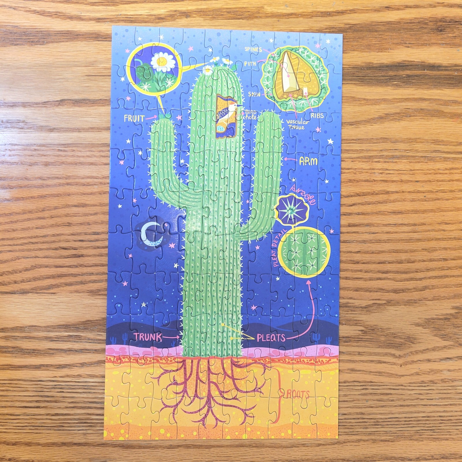 Plant Anatomy Puzzle (3 puzzles in 1 box) 100 Pcs Each Mudpuppy