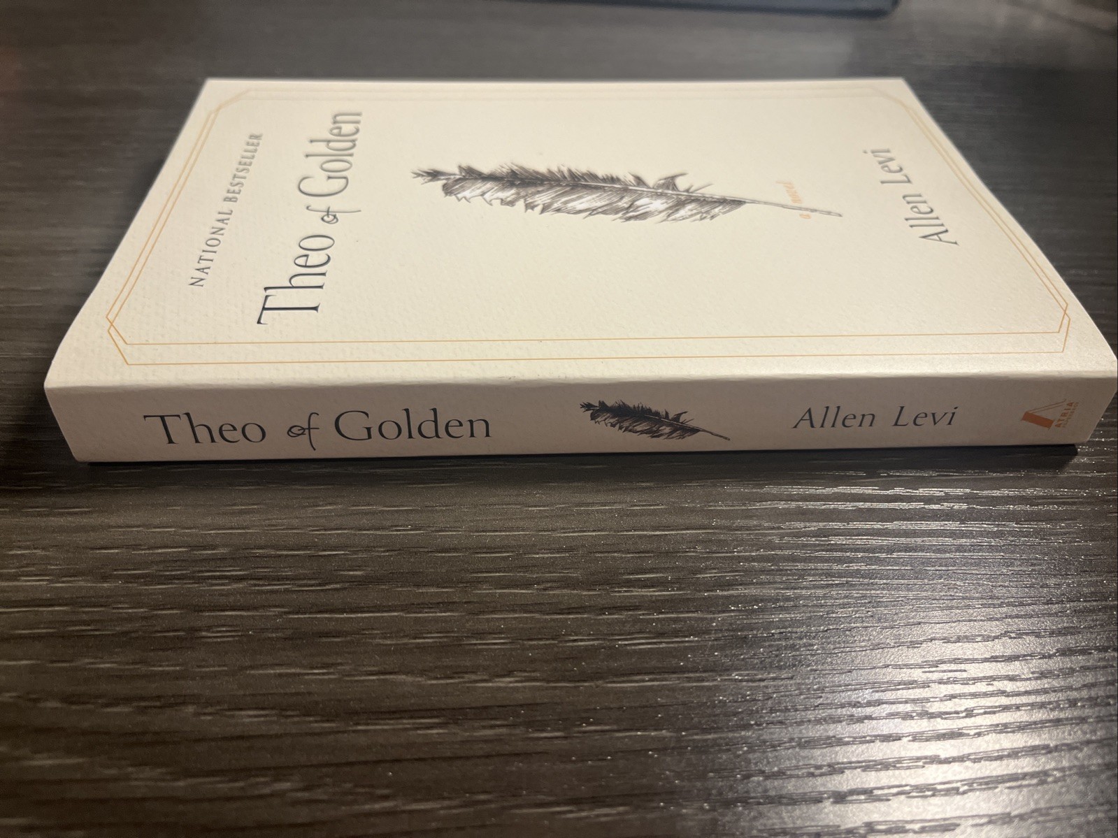 Theo of Golden : A Novel by Allen Levi (2025, Trade Paperback) New