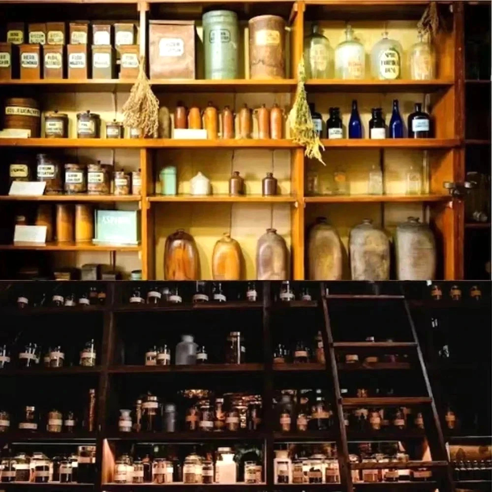 Share The Holistic Home Apothecary 1000+ Forgotten Remedies_book