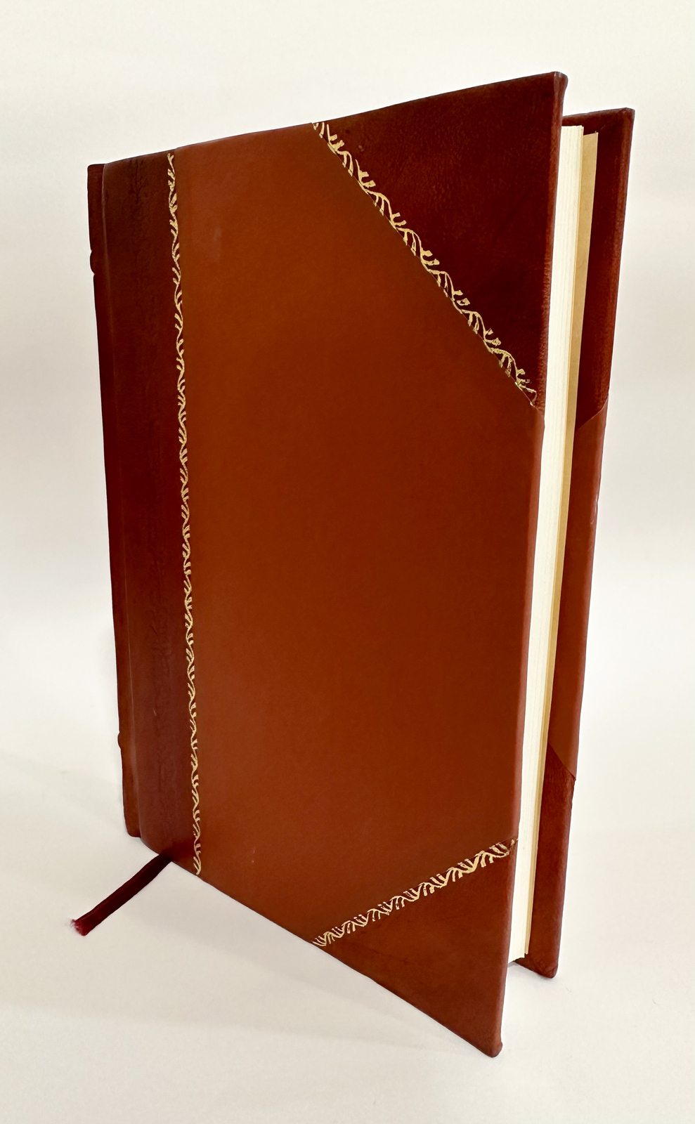 Andrew Thompson, the Emigrant of Elsinborough, Salem County, [Leather Bound]
