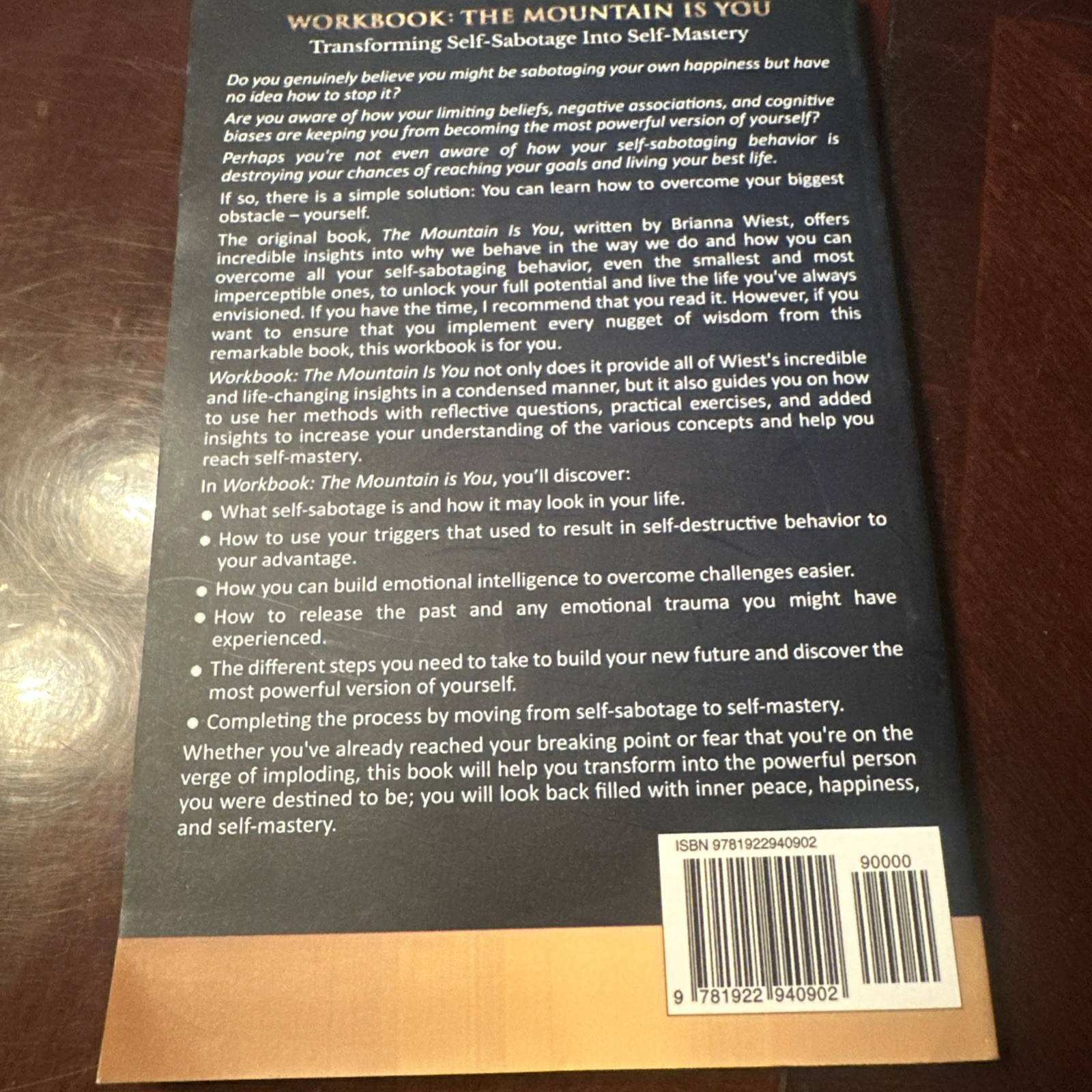 Workbook: The Mountain Is You by Alice Moore Transforming Self Sabotage Into