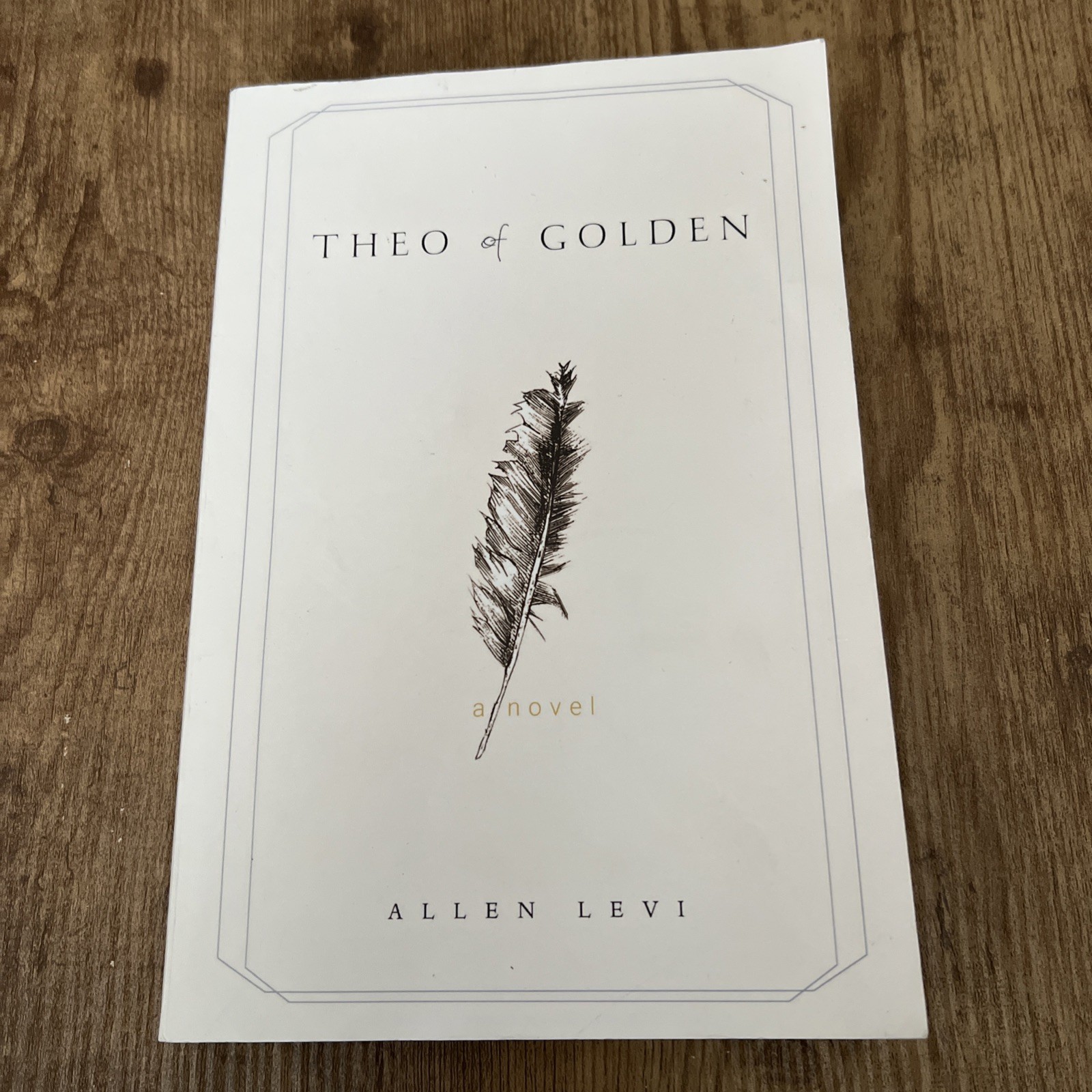 Theo of Golden Allen Levi RARE SELF PUBLISHED True 1st Edition STATED TPB