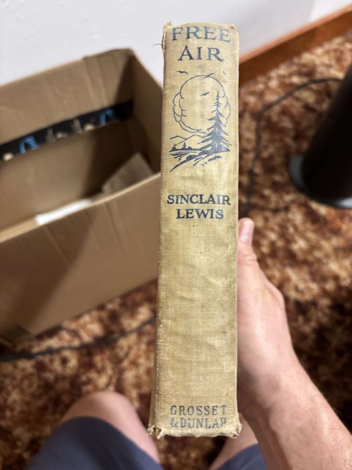 Free Air by Sinclair Lewis 1919 First Edition
