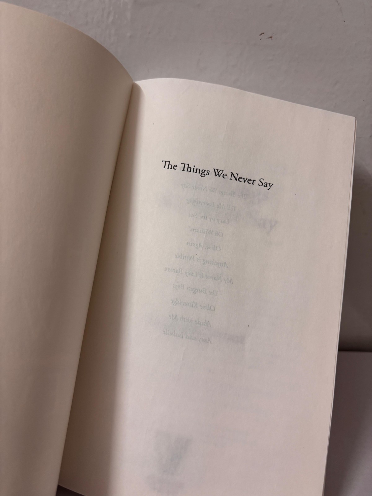 The Things We Never Say by Elizabeth Strout Paperback New Book US