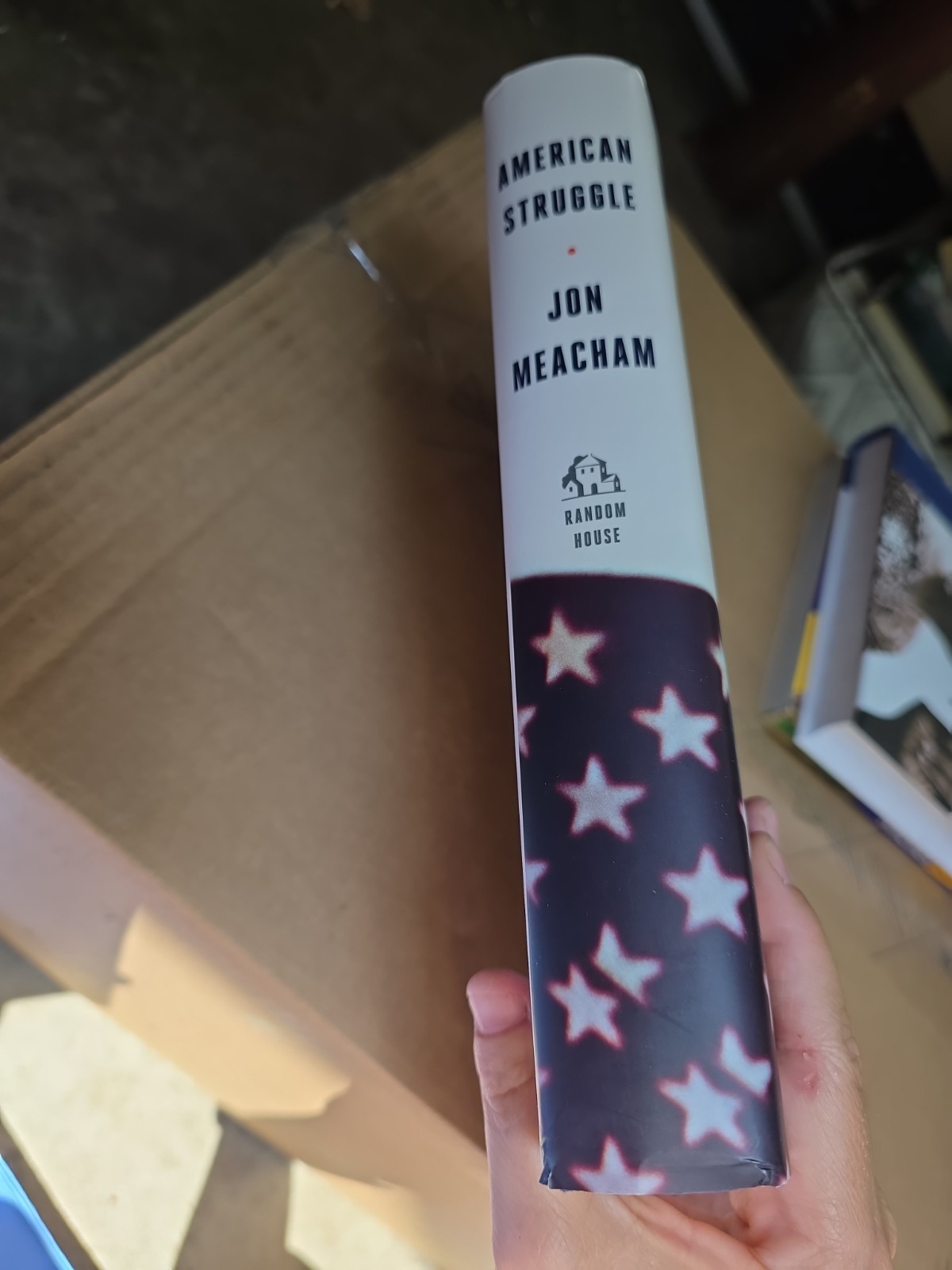 American Struggle : Democracy, Dissent, and the Pursuit of a More Perfect Union: