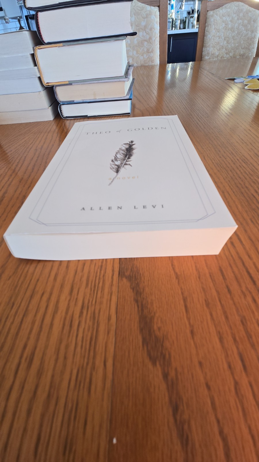 Theo of Golden by Allen Levi Paperback