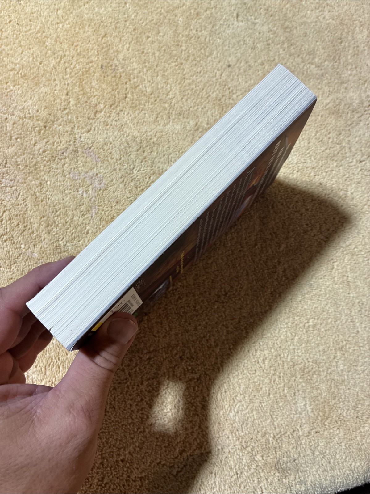 Crown of Midnight OOP Cover – Sarah J. Maas Paperback – 5th Printing