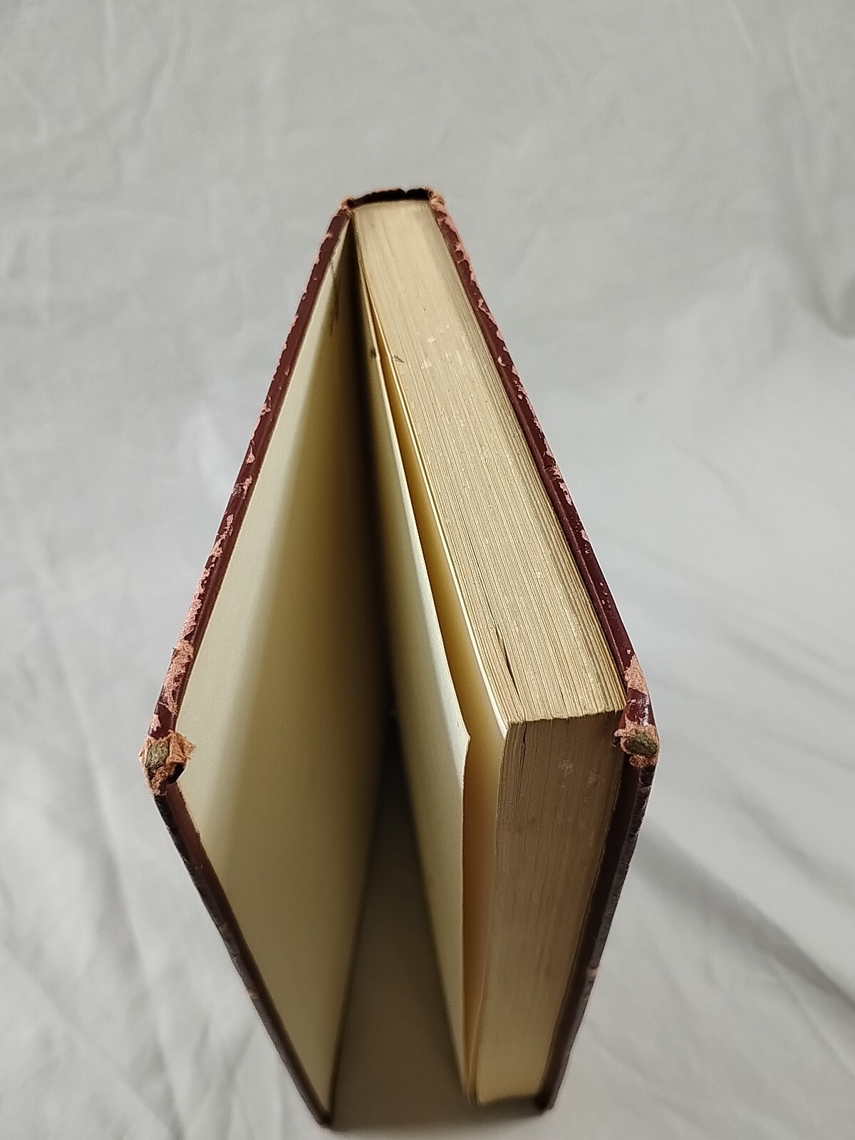 Dictionary of Musical Terms Theo. Baker Ph.D Pub 1923 Schirmer Antique Hardback