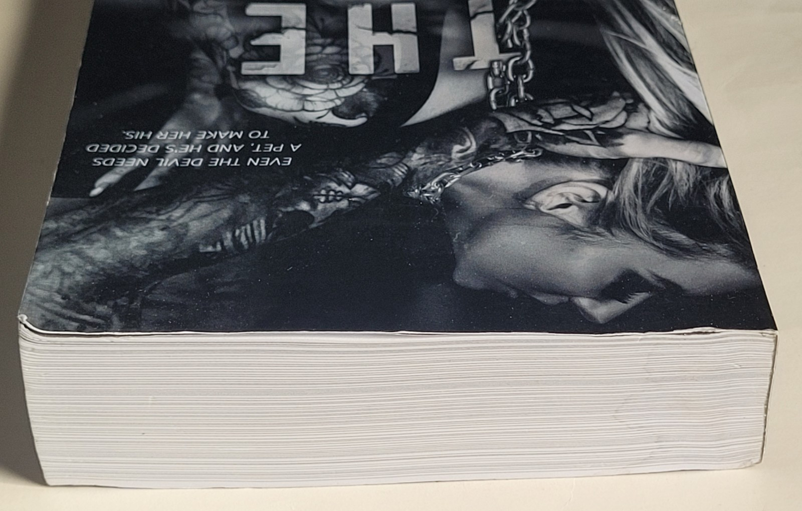 The Sinner – A Dark College Romance Shantel Tessier – Softcover – Preowned