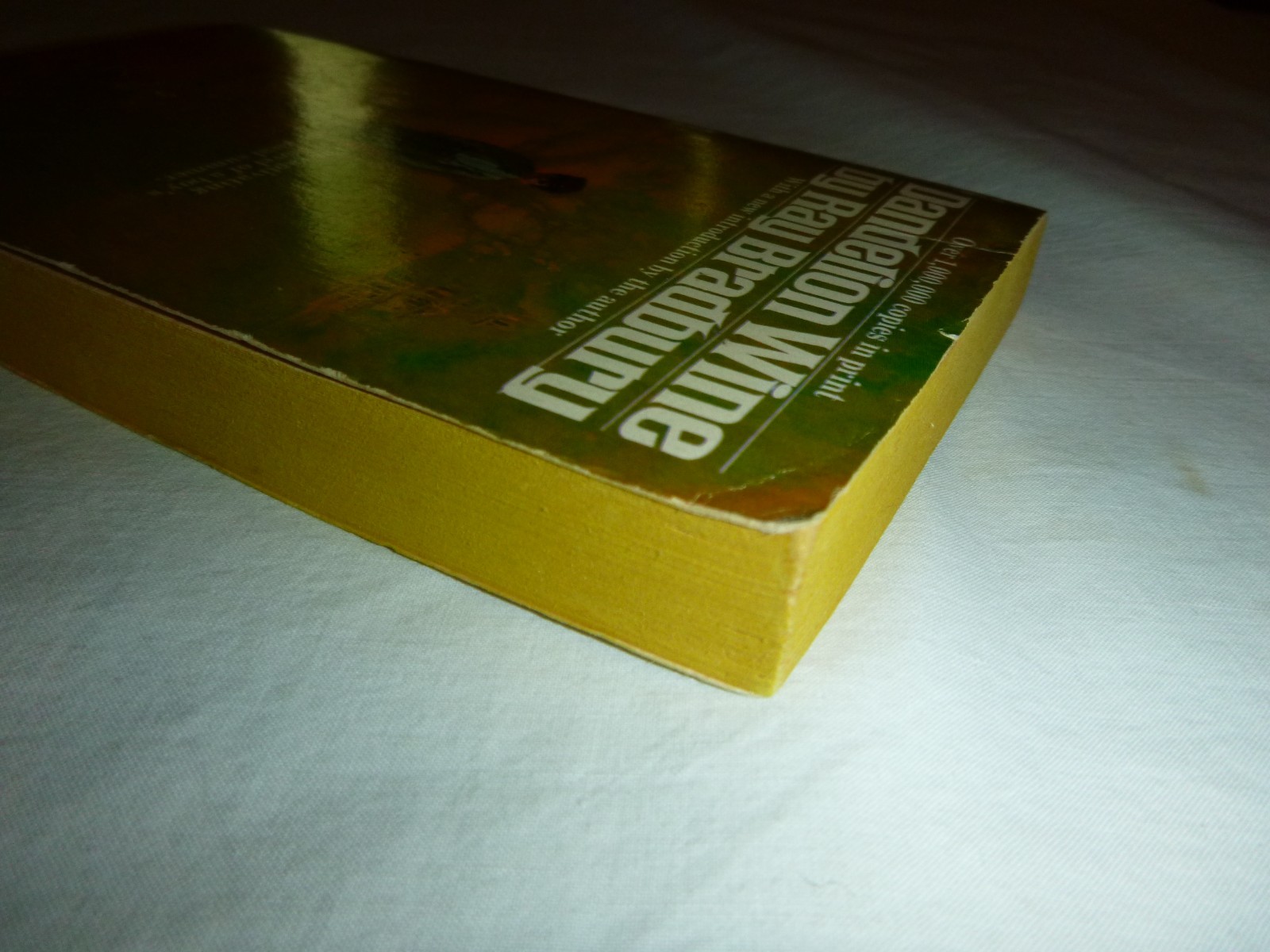Dandelion Wine by Ray Bradbury – Vintage 1981 Paperback Book
