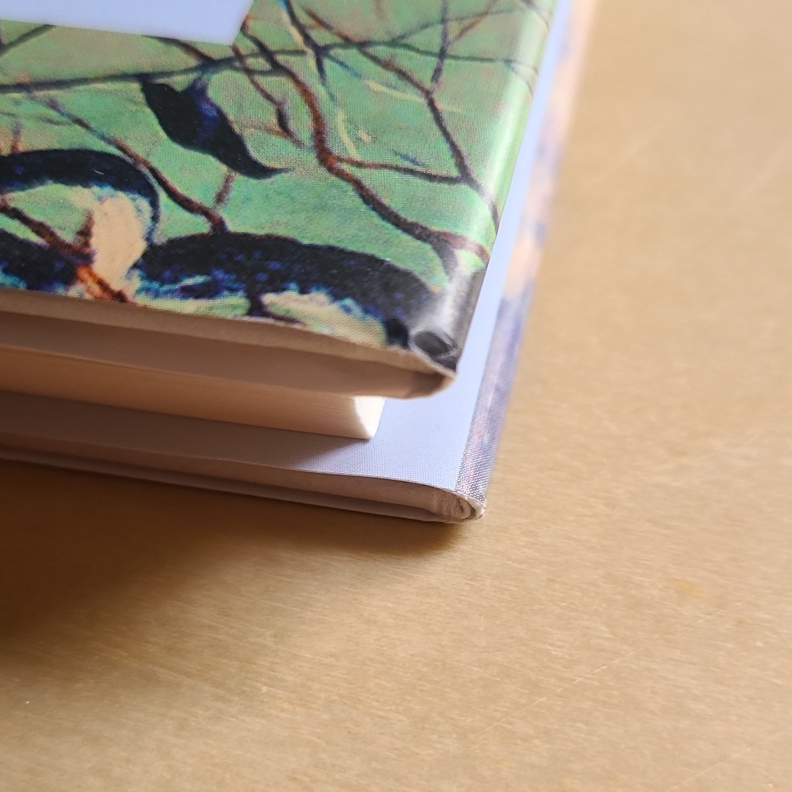 Irish Literature Bundle: Small Things Like These & Amongst Women