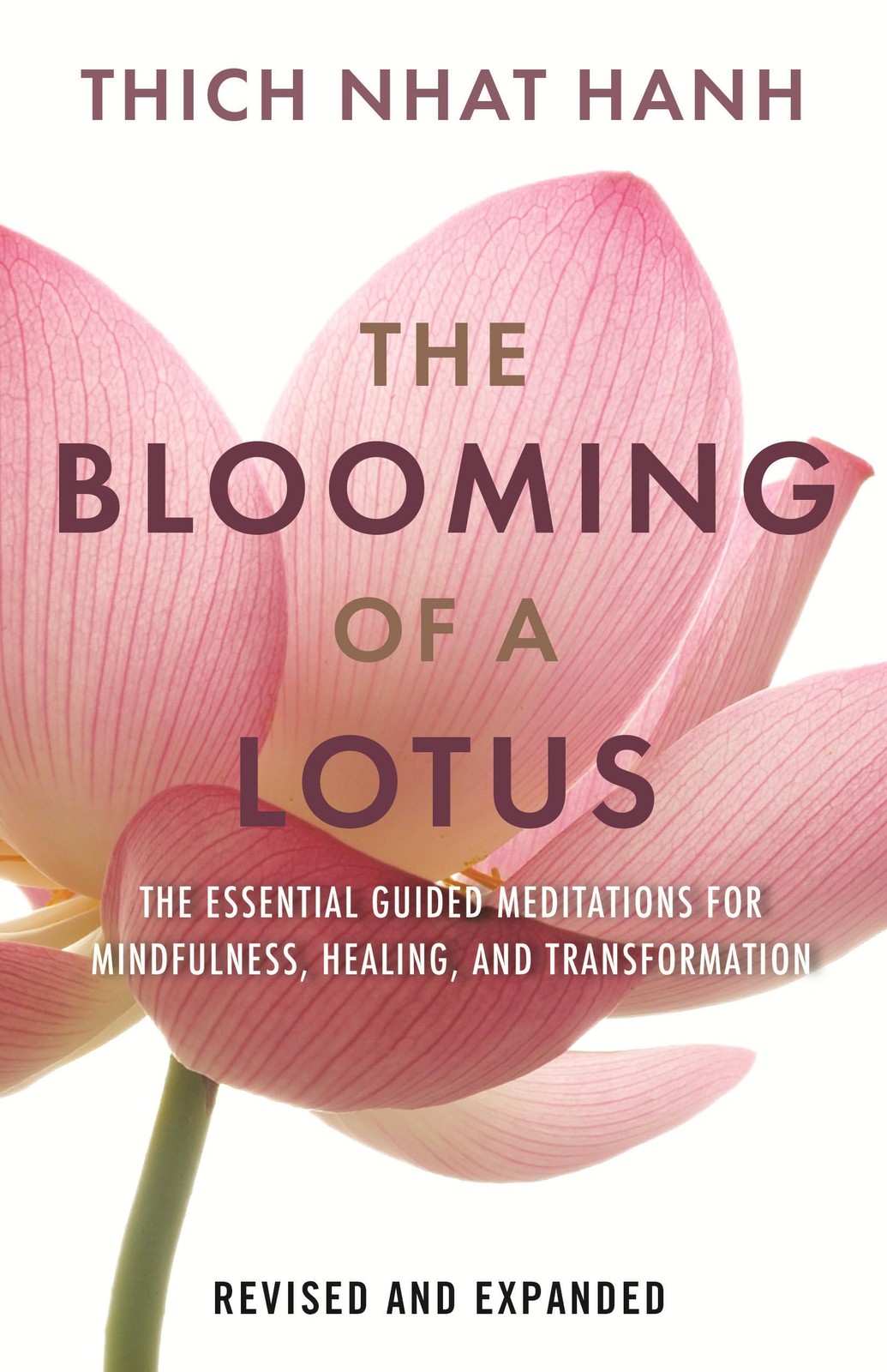 The Blooming of a Lotus: Essential Guided Meditations for Mindfulness, Healing,