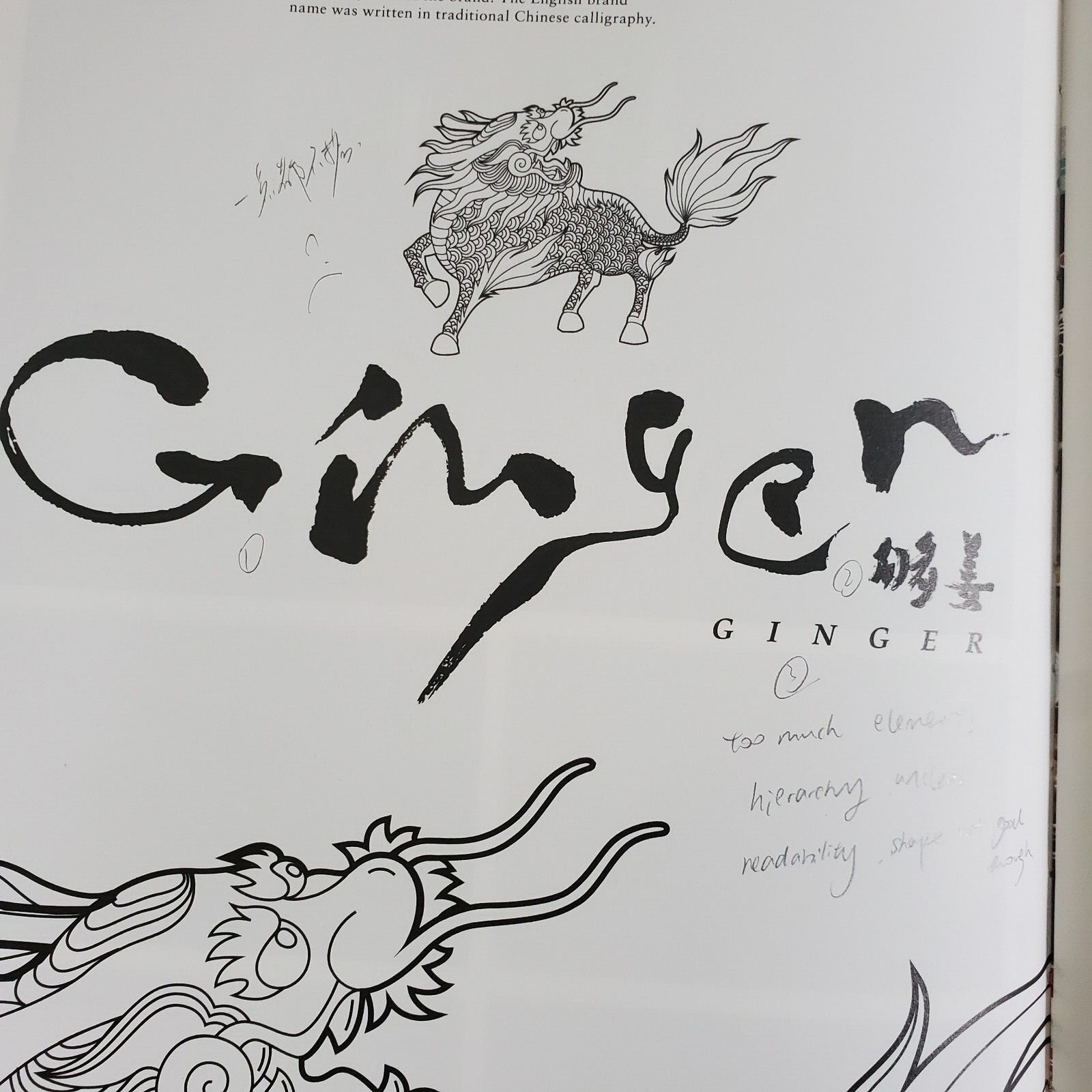 Chinese Pictograms Book Pictographic Evolution & Graphic Creation of Hanzi (ENG)