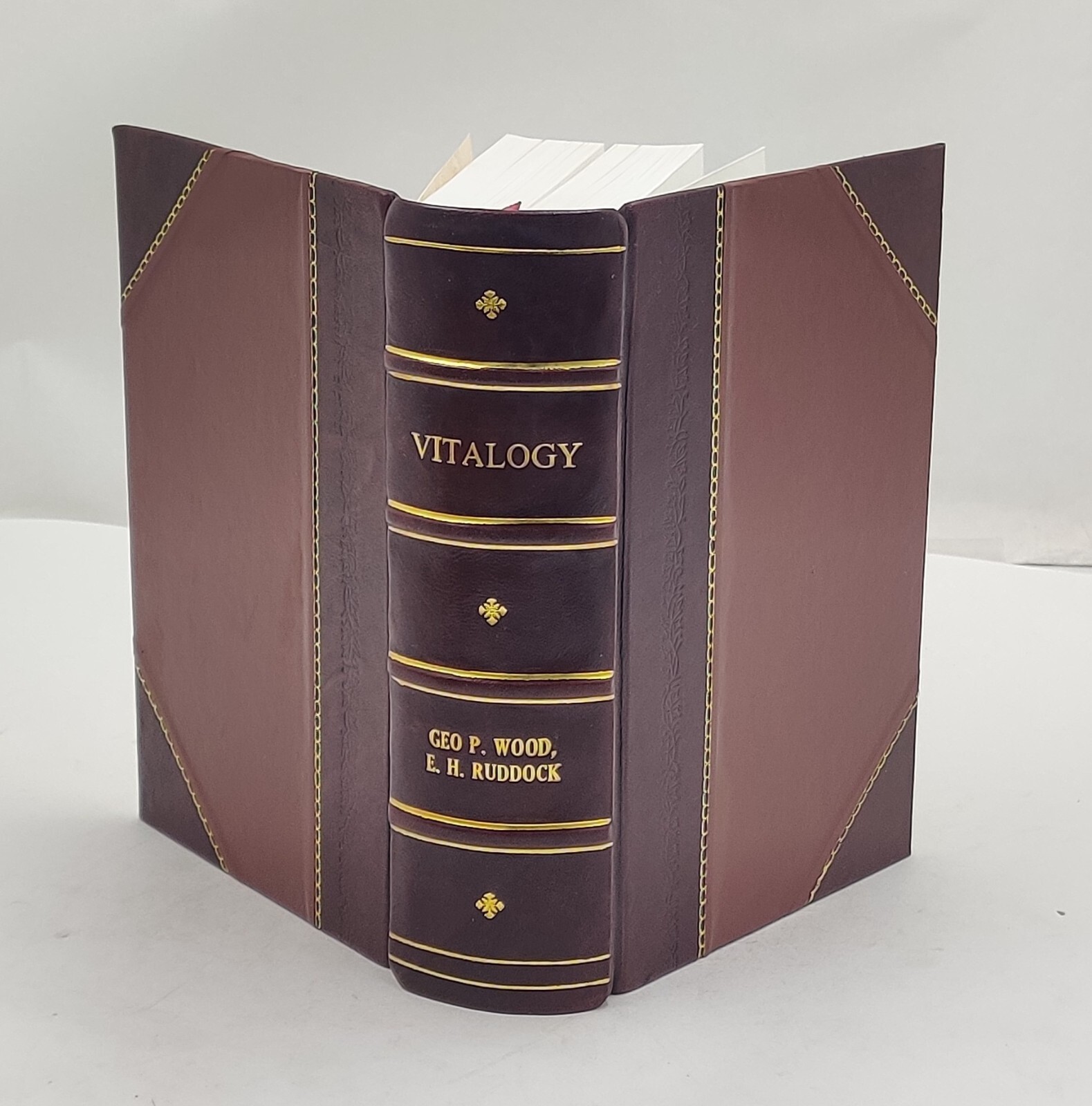 Vitalogy or Encyclopedia of health and home Adapted for home a [Leather Crafted]