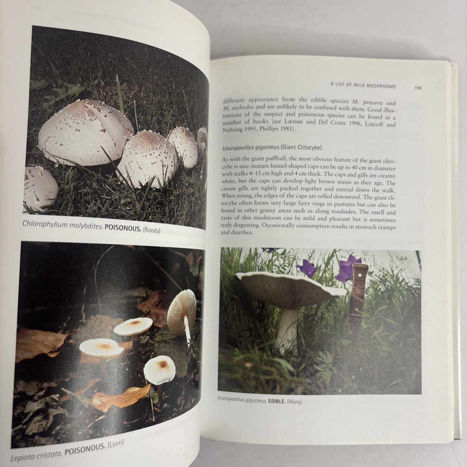 Edible and Poisonous Mushrooms of the World by Hall, Stepheson, Buchanan, Yun