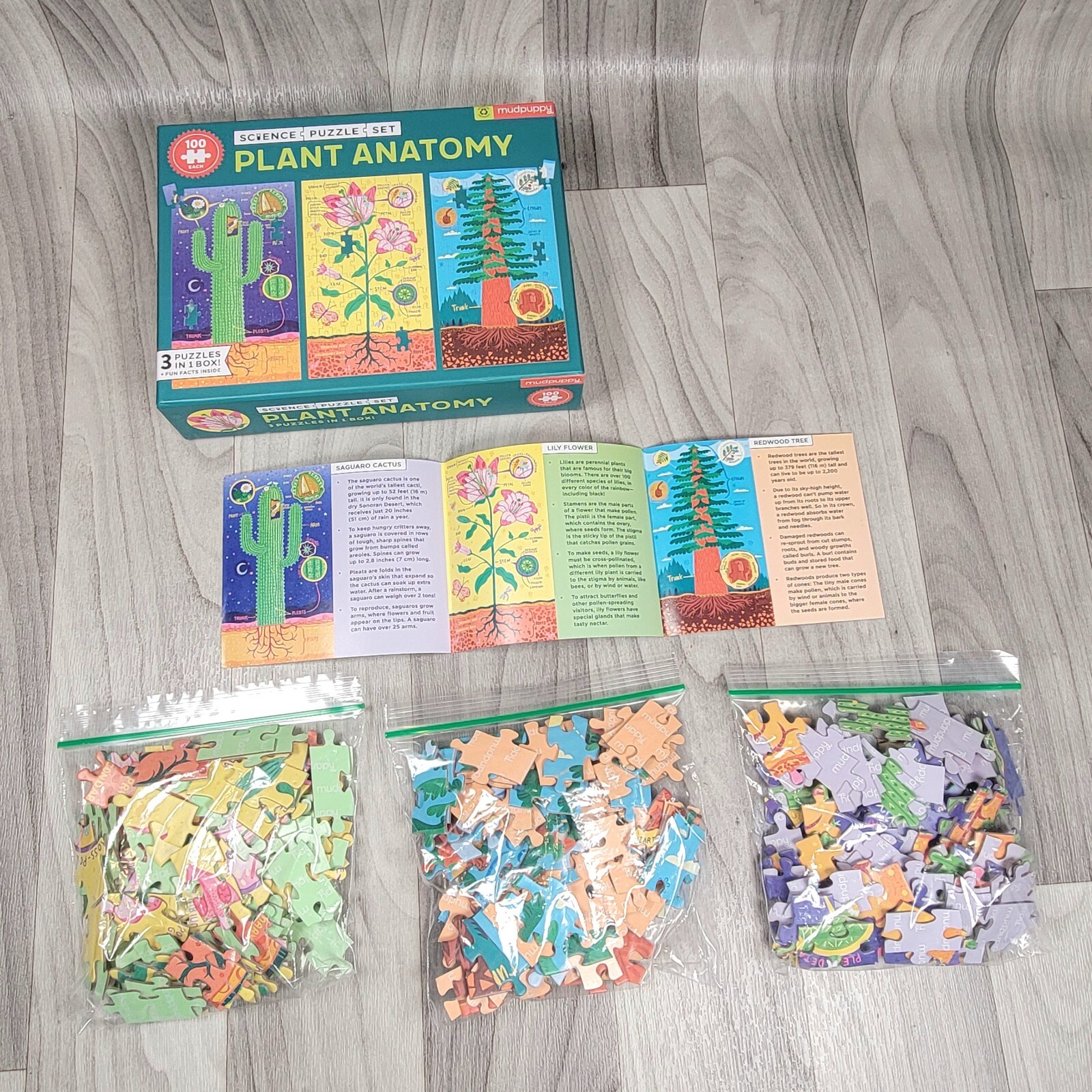 Plant Anatomy Puzzle (3 puzzles in 1 box) 100 Pcs Each Mudpuppy