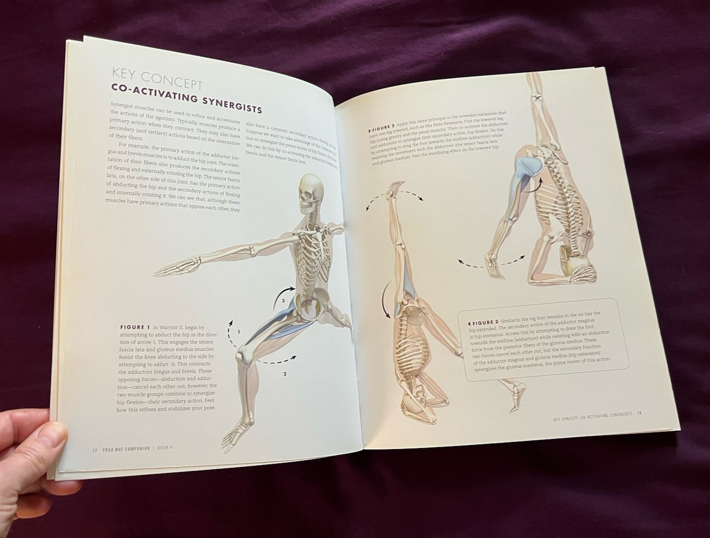 Yoga Mat Companion Vol. 1-4 Book LOT/SET, Ray Long, Anatomy For Vinyasa Flow…