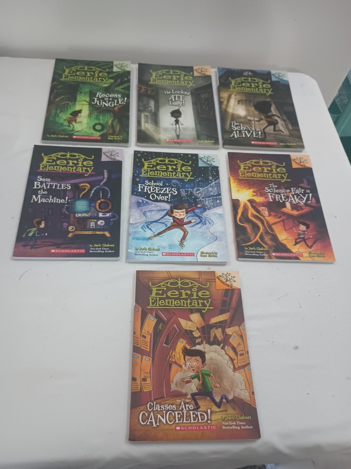 LOT 34 BRANCHES BOOKS: OWL DIARIES,DRAGON MASTERS, DIARY PUG,UNICORN DIARIES.
