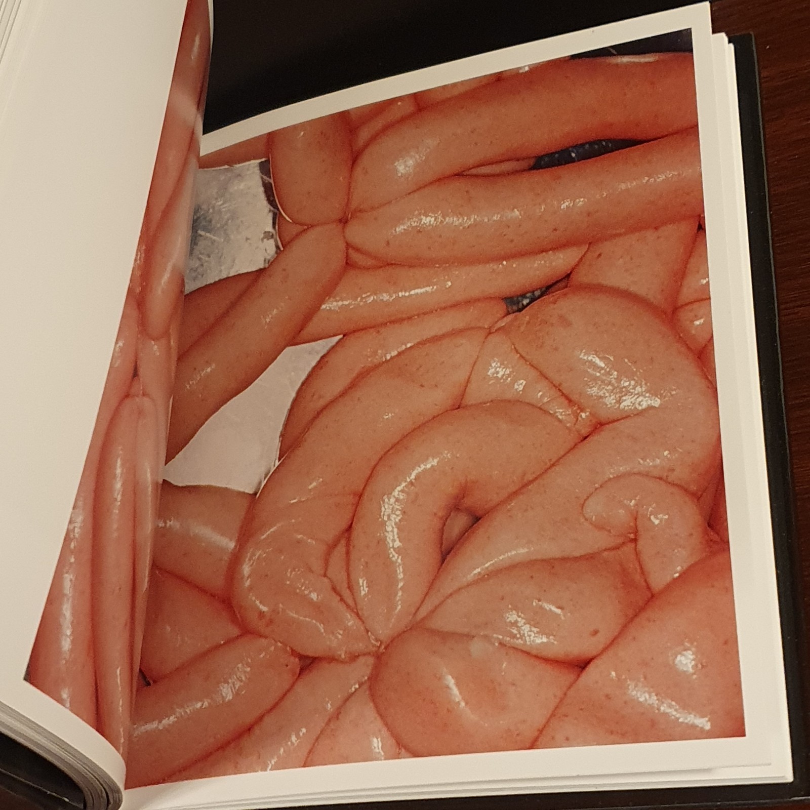 Phaidon Martin Parr by Sandra Phillips Martin Parr (2013, Hardcover) Photography