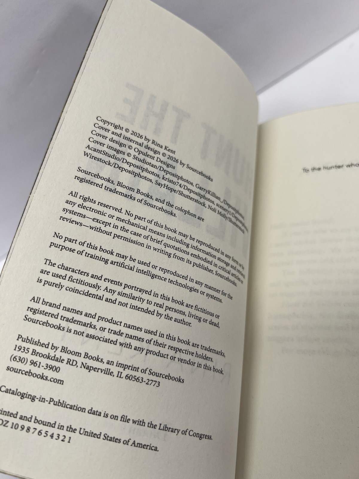Hunt the Villain (Walmart Exclusive Edition) By Rina Kent Printed Pages