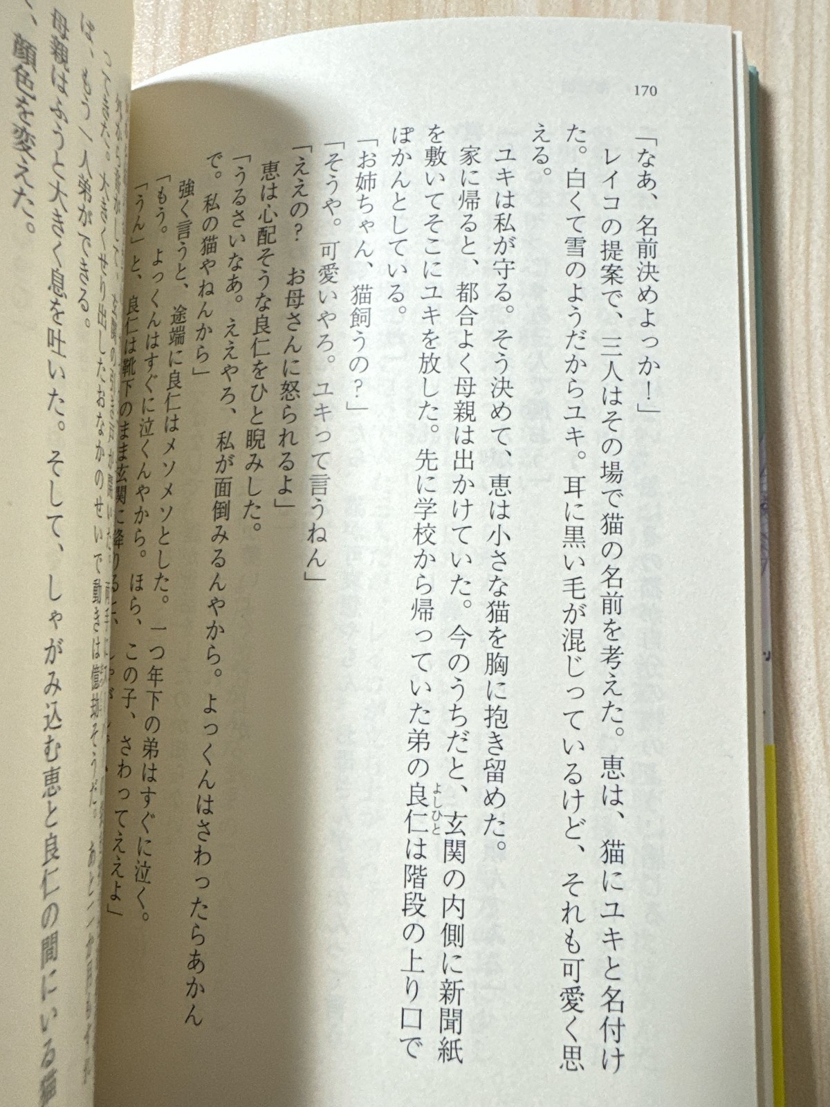 We’ll Prescribe You a Cat Vol.1 By Syou Ishida Japan Book New