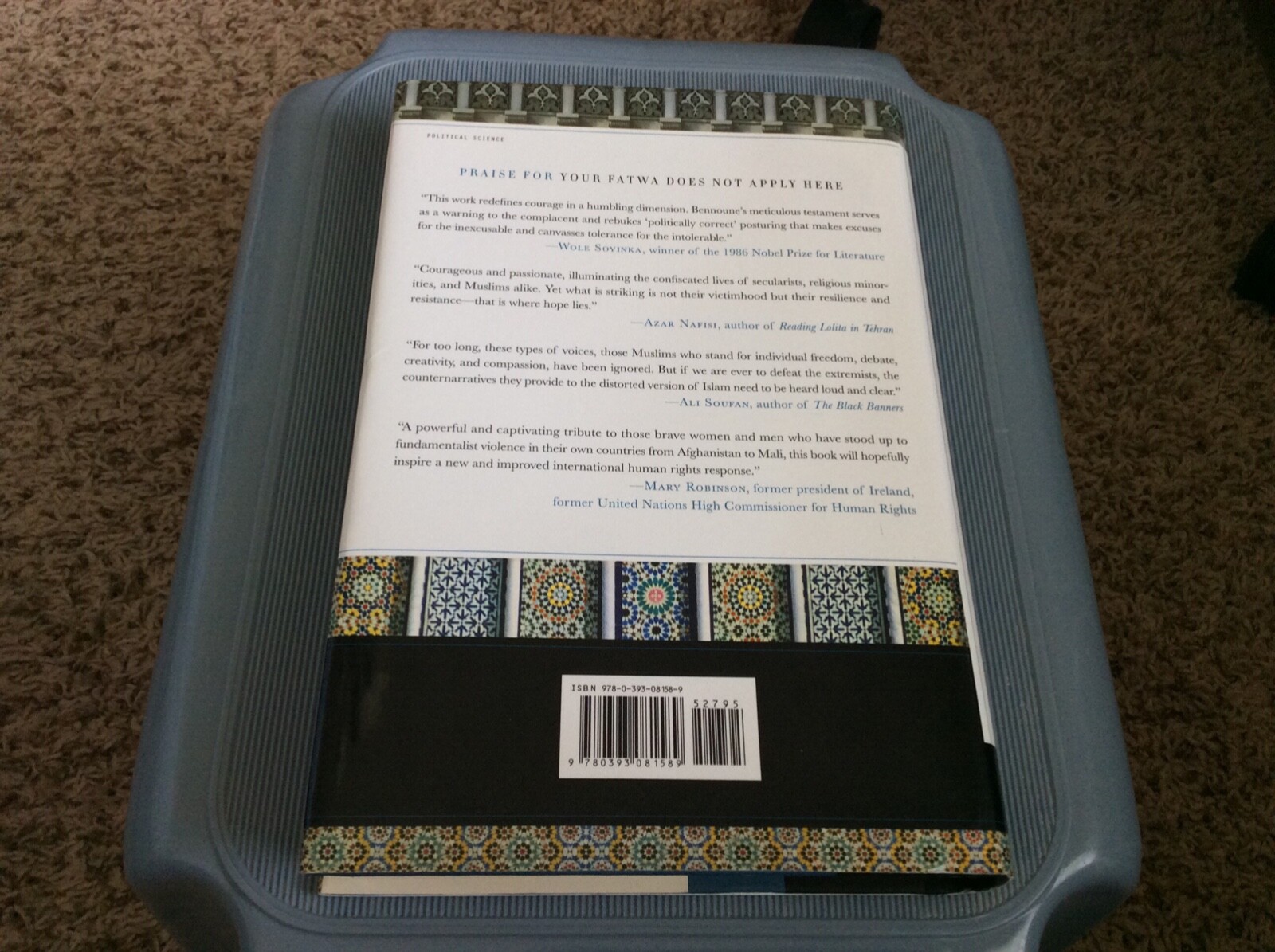 Your Fatwa Does Not Apply Here: Untold Stories from the Fight Against Muslim