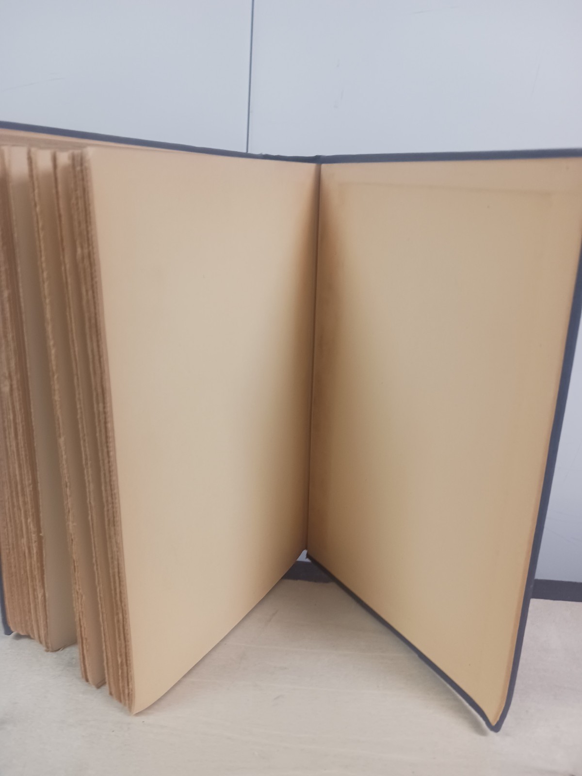 It Can’t Happen Here by Sinclair Lewis First Edition 1935 Sun Dial Press