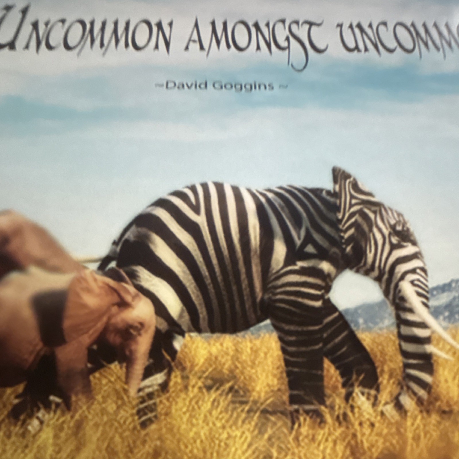 12 x 18 David Goggins Quote Print ‘Uncommon Amongst Uncommon People’