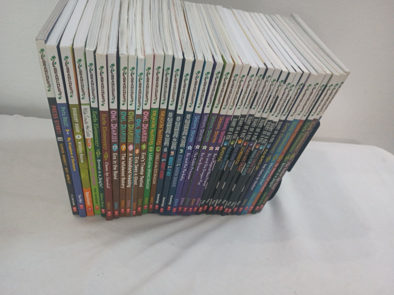 LOT 34 BRANCHES BOOKS: OWL DIARIES,DRAGON MASTERS, DIARY PUG,UNICORN DIARIES.