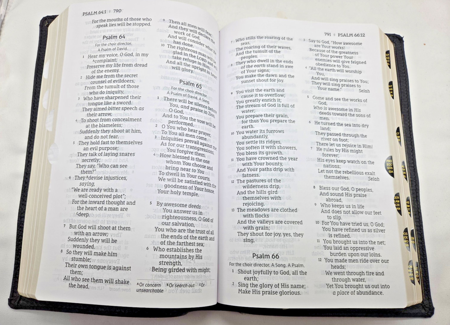 NASB Large Print Calfskin Black Red Letter 1995 Text Thumb Indexed